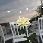 Sera Nature &