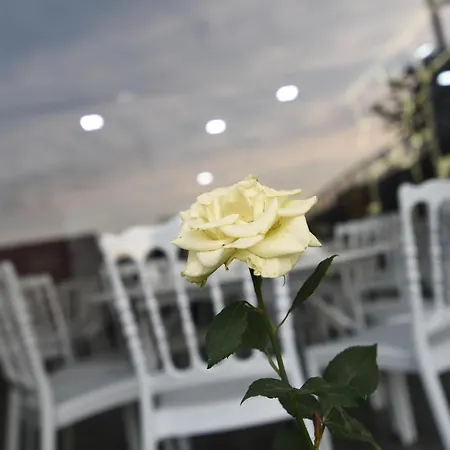 Sera Nature & Hotell Trabzon