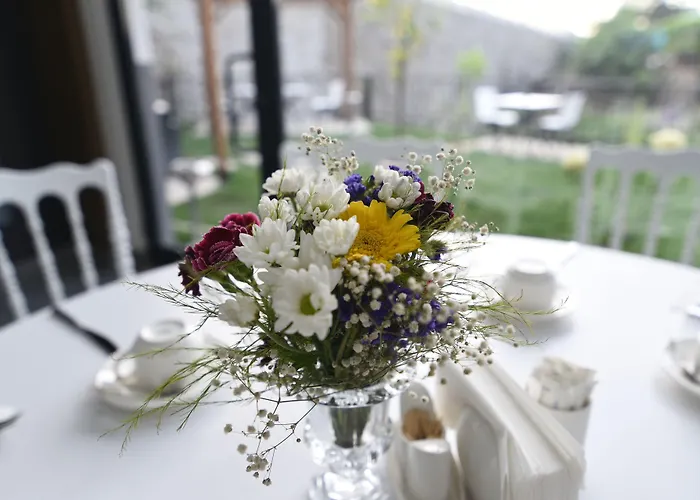 Sera Nature & Trabzon